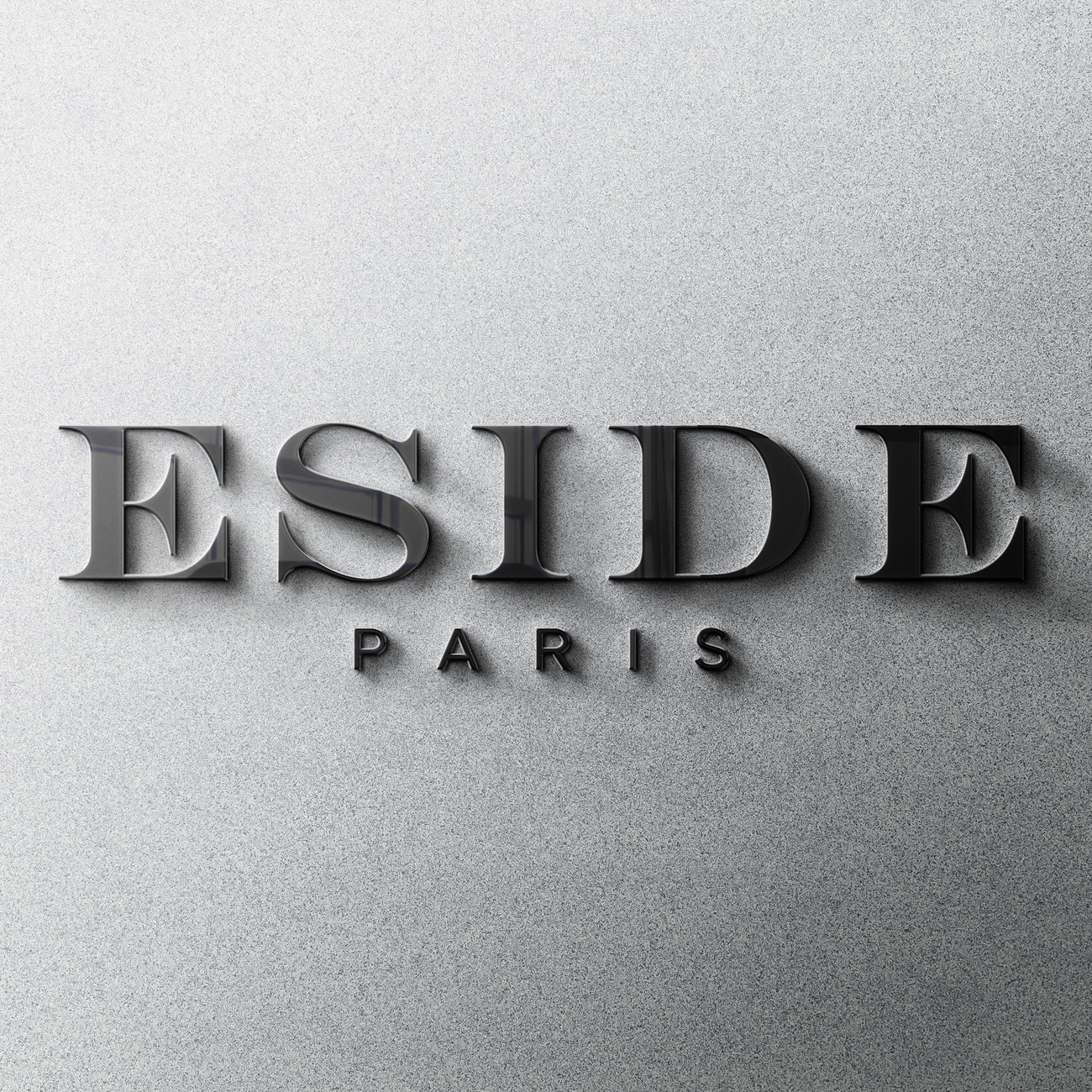 BT Tasarım Eside Paris Logo İç Mekan Kutu Harf